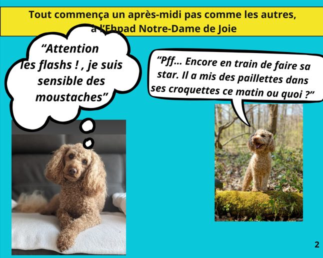 le-roman-photos-p02