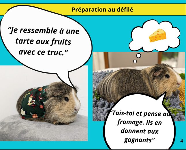 le-roman-photos-p04