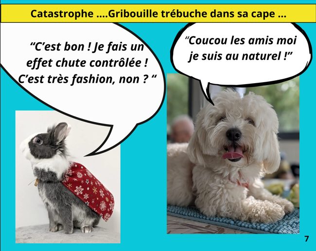 le-roman-photos-p07